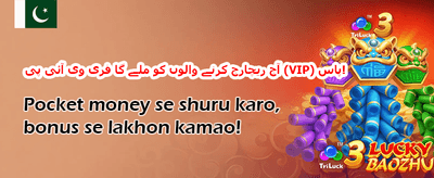 خوش آمدید بونس: 100% میچ promotion
